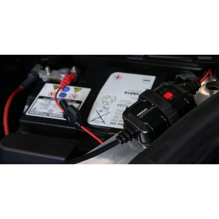 Mainteneur De Voiture, Chargeur De Batterie à Courant Réglable Moins  D'interférences Pour Les Batteries AC-300W 12V 24V US Plug 