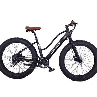 Batterie Vélo Électrique 48V 13Ah (624Wh) Tube Inférieur - Compatible ANCHEER, Neuf Avec Chargeur